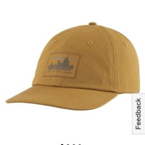 Patagonia '73 Skyline Trad Cap